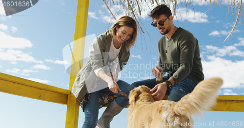 Image of Group of friends having fun on autumn day at beach