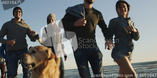 Image of Group of friends having fun on beach during autumn day