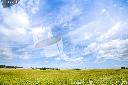 Image of Countryside landscape with a dramatic blue sky