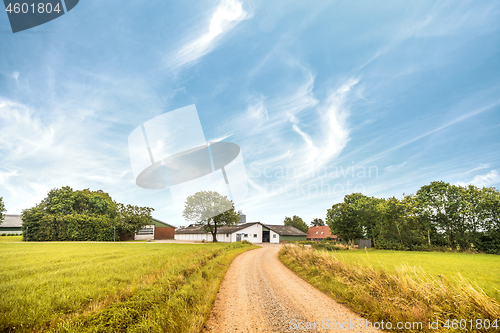 Image of Road going up to a farm in a rural landscape