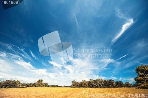Image of Countryside landscape with a dramatic blue sky