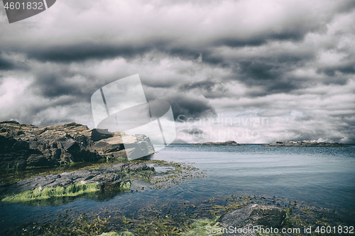 Image of Cliffs with green seaweed under a dark sky