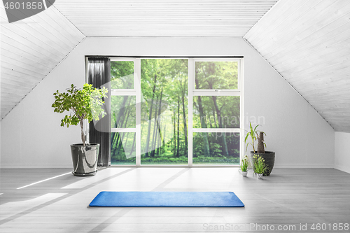 Image of Yoga gym room in a green forest