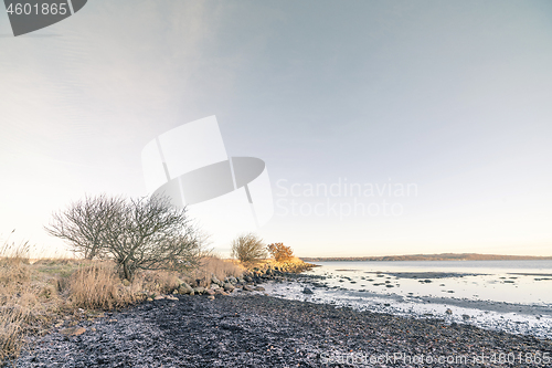 Image of Coastline in the morning sunrise with frost