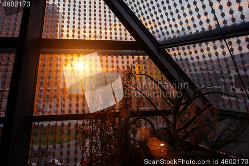 Image of sunset through a glass roof