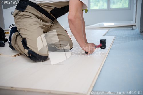 Image of Professional Worker Installing New Laminated Wooden Floor