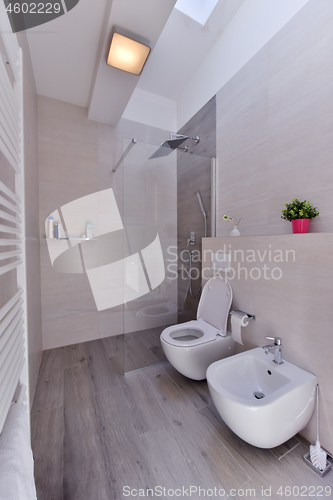 Image of luxury stylish bathroom interior