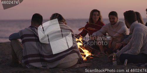 Image of Group Of Young Friends Sitting By The Fire at beach