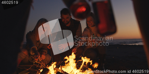 Image of Young Friends Making A Toast With Beer Around Campfire at beach