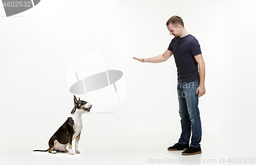 Image of Emotional Portrait of a man and his Bull Terrier dog, concept of friendship and care of man and animal