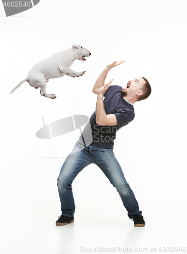 Image of Emotional Portrait of a man and his Bull Terrier dog, concept of friendship and care of man and animal