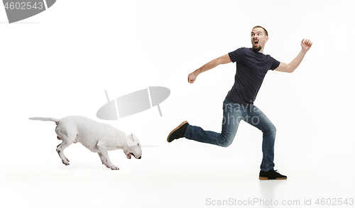 Image of Emotional Portrait of a man and his Bull Terrier dog, concept of friendship and care of man and animal