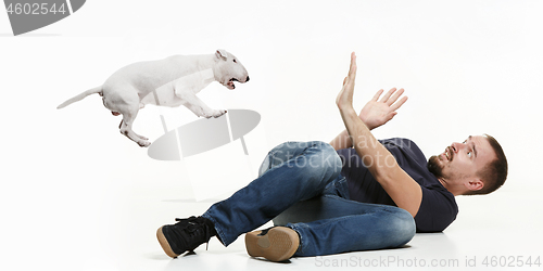 Image of Emotional Portrait of a man and his Bull Terrier dog, concept of friendship and care of man and animal