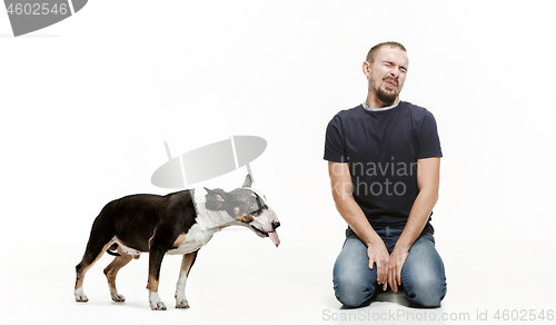 Image of Emotional Portrait of a man and his Bull Terrier dog, concept of friendship and care of man and animal