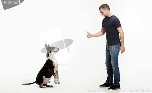 Image of Emotional Portrait of a man and his Bull Terrier dog, concept of friendship and care of man and animal