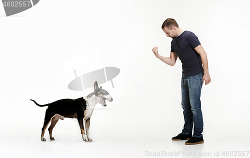 Image of Emotional Portrait of a man and his Bull Terrier dog, concept of friendship and care of man and animal