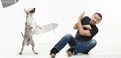 Image of Emotional Portrait of a man and his Bull Terrier dog, concept of friendship and care of man and animal