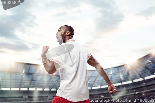 Image of The football player in motion on the field of stadium