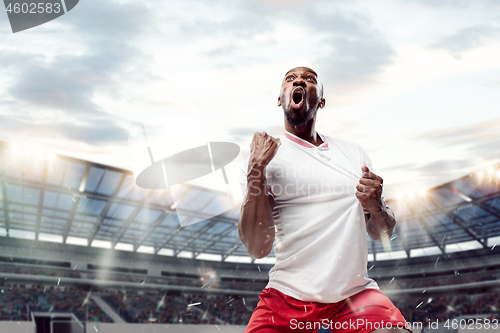 Image of The football player in motion on the field of stadium