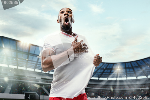 Image of The football player in motion on the field of stadium