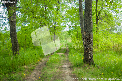 Image of Dirt road 