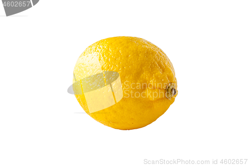 Image of Lemon