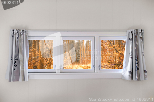 Image of Autumn view in a window on a wall