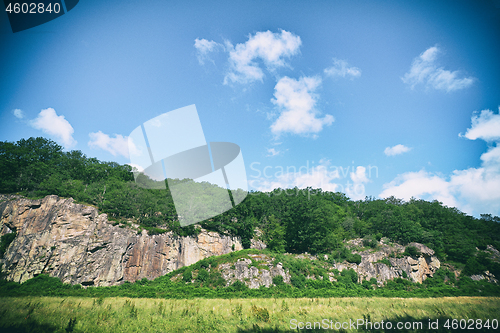 Image of Green forest on a hillside with cliffs