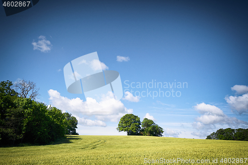 Image of Rural fields in a countryside landscape