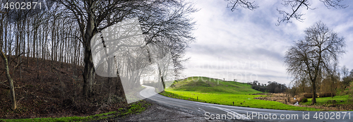 Image of Curvy road in a forest panorama scene