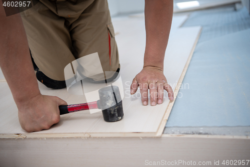 Image of Professional Worker Installing New Laminated Wooden Floor