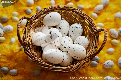 Image of Easter holidays concept. White dotted chicken Eggs in the wicker