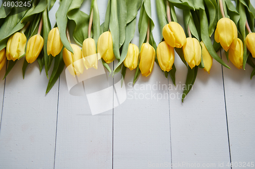 Image of Row of fresh Yellow tulips on white wooden table