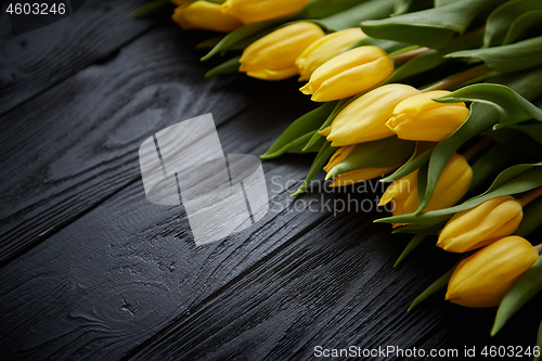 Image of Composition of fresh yellow tulips placed in row on black rustic wooden table