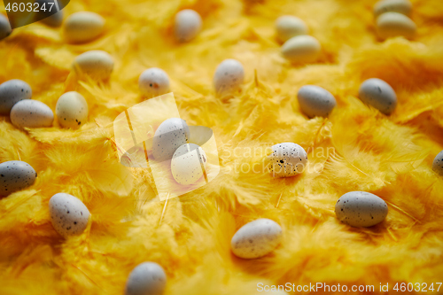 Image of Composition of pastel easter eggs lie among of yellow feathers for holidays