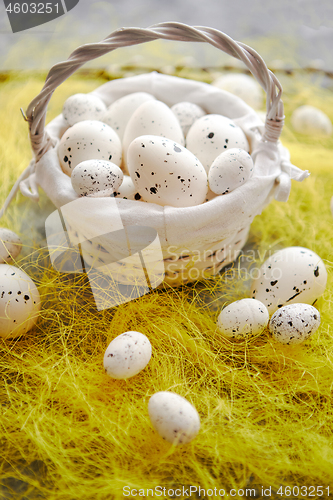 Image of Easter white dotted Eggs in the nest and spring yellow grass