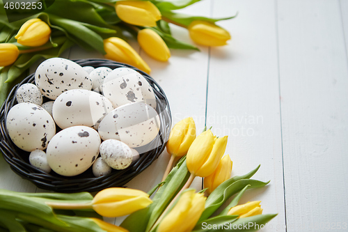 Image of Beautiful yellow tulips with dotted quail and chicken eggs in nest on white