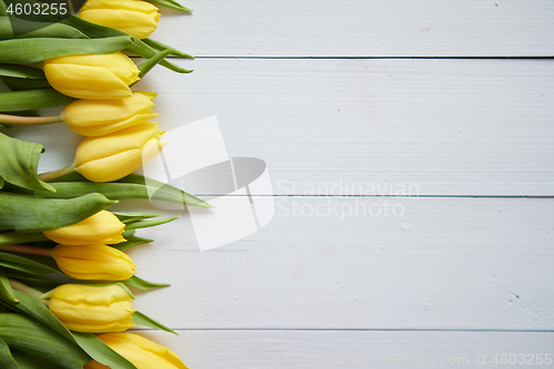 Image of Row of fresh Yellow tulips on white wooden table