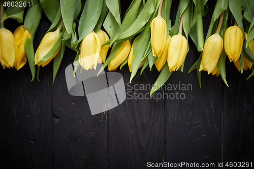 Image of Beautiful yellow tulips on black rustic wooden background. Top view