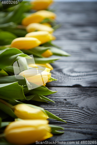 Image of Composition of fresh yellow tulips placed in row on black rustic wooden table