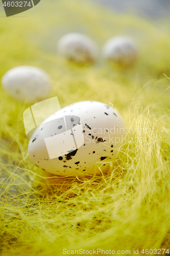 Image of White Easter eggs with freckles placed on the yellow hay.