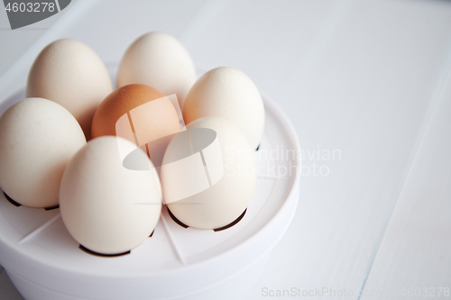 Image of Chicken eggs in a egg electric cooker on a white wooden table