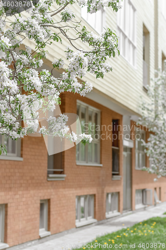 Image of Facade of brick building and blooming trees