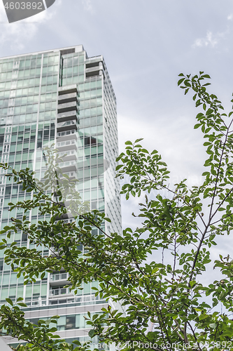 Image of Modern glass building seen through green leaves