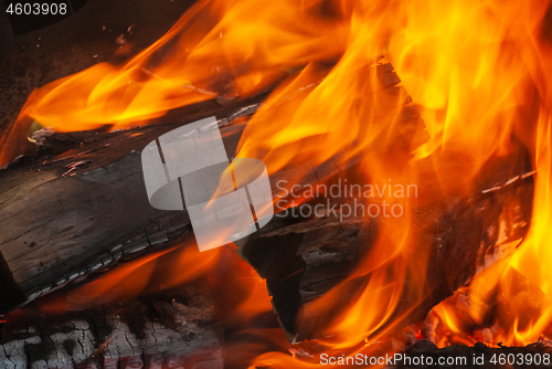 Image of Burning bonfire close up background.