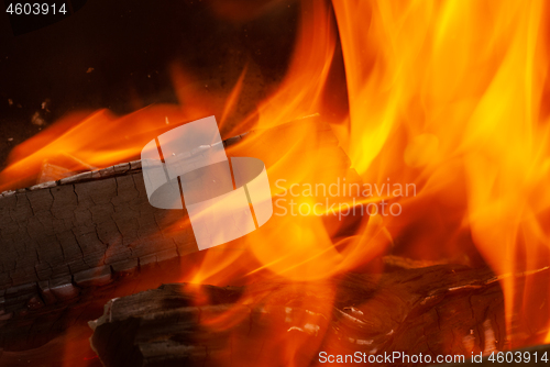 Image of Macro view of burning bonfire background.