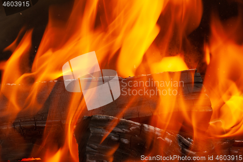 Image of Natural background from burning fire wood.