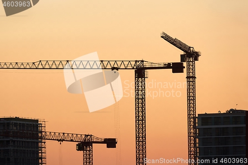 Image of Tall Construction Cranes