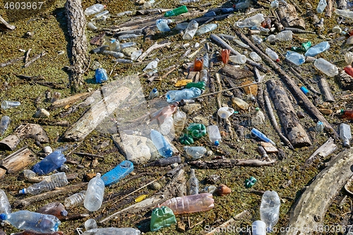 Image of Plastic bottles in water