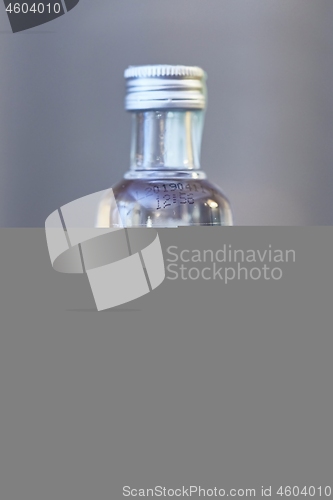 Image of Absolut Vodka small bottle